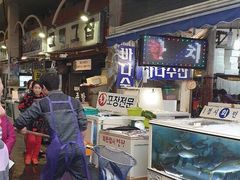 -西归浦每天偶来市场
