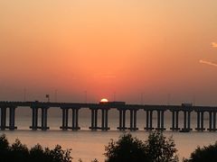 -宝安西湾红树林湿地公园