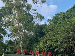 -火炉山森林公园