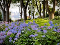 -北外滩滨江绿地