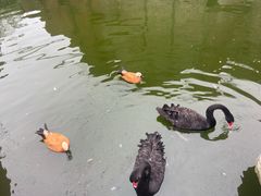 -太阳部落