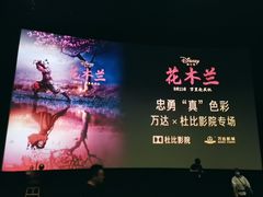 -万达影城(汉街万达广场IMAX店)