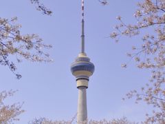 -中央广播电视塔