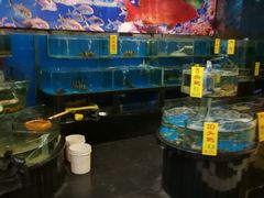 水产区-新东城喜宴海鲜酒家(同德店)
