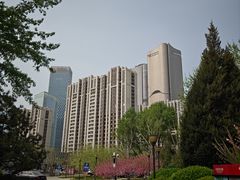 -大望京公园