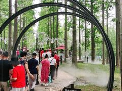 -黄海国家森林公园