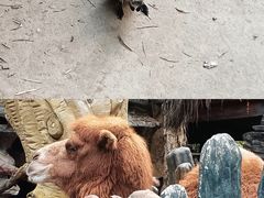 -长鹿旅游休博园
