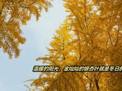 -四川大学(华西校区)