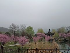-石塘人家