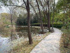 -郑州植物园
