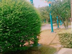 -荆川公园