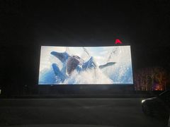 -枫花园汽车电影院(朝阳公园店)