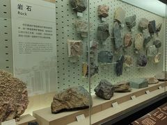 -浙江自然博物院(杭州馆)