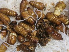 -和源祥·日照菜扛把子(万平口一店)