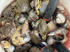 -启东黄金海滩景区