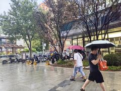 -中粮·祥云小镇