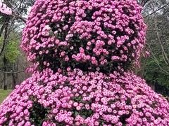 -南山植物园