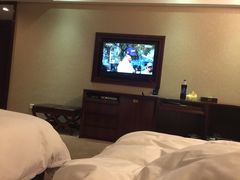 -圣爵菲斯大酒店(长沙世界之窗店)