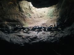 -扬州科技馆