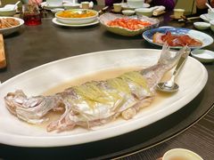 -花城苑广府菜(海心沙店)