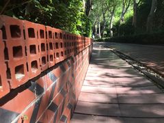 景点-铁路文化公园