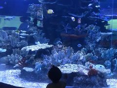 -左海海底世界