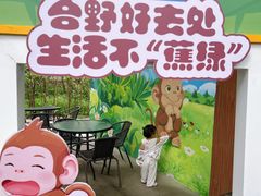 -合肥野生动物园
