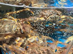 -徐记海鲜(南油永新汇店)