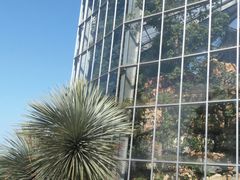 -南通洲际绿博园