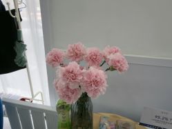 -靓芙泉专研痘痘肌