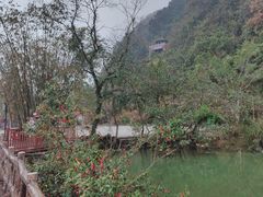 -靖西鹅泉风景区