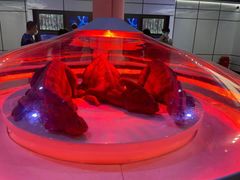 -侏罗纪世界电影特展(广州站)