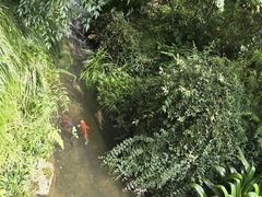 -中国茶叶博物馆(双峰馆区)