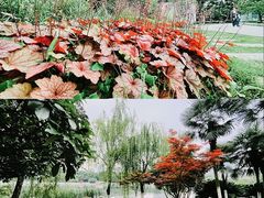 -后襄河公园