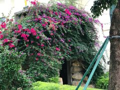 -惠州金海湾嘉华度假酒店