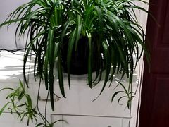 -福寿堂·推拿按摩养生(现代城店)