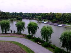 景点-上海鲜花港