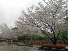 -玉山公园