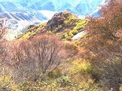 -白草畔自然风景区