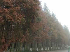 -山王坪喀斯特国家生态公园