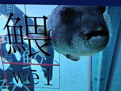 -欢乐海岸海洋奇梦馆