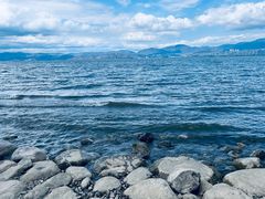 -洱海月湿地公园