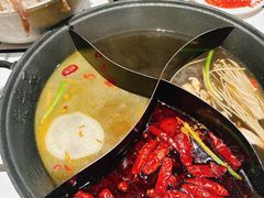 -朱光玉火锅馆(正弘城店)