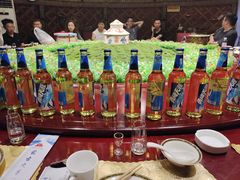 -蒙古大营·蒙古演绎餐厅(赛马场店)