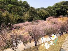 -广州市白云山风景名胜区