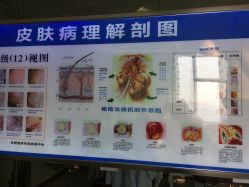-痘研专业皮肤管理中心