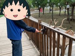 -北京鹿世界主题园