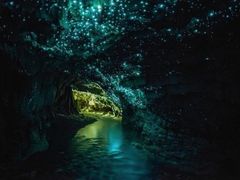 -怀托摩萤火虫洞