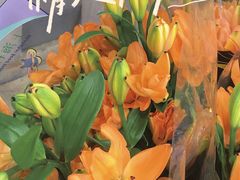 -循礼门鲜花花市(武汉循礼门店)