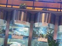 -老船舫·现做活鲜鱼馆(东郊记忆店)